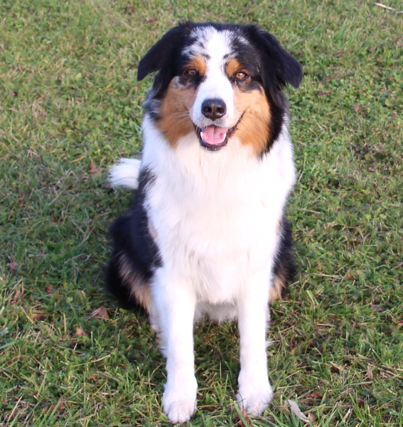 IMG 8506 Liv sitz Kopie