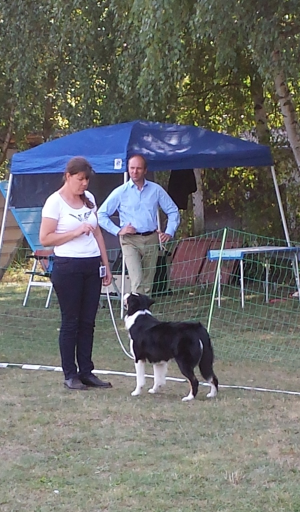 Ausstellung Berlin 1 Kopie