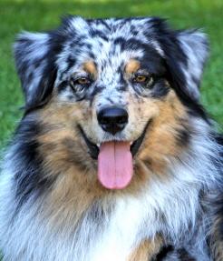 M light portrait HP Kopie