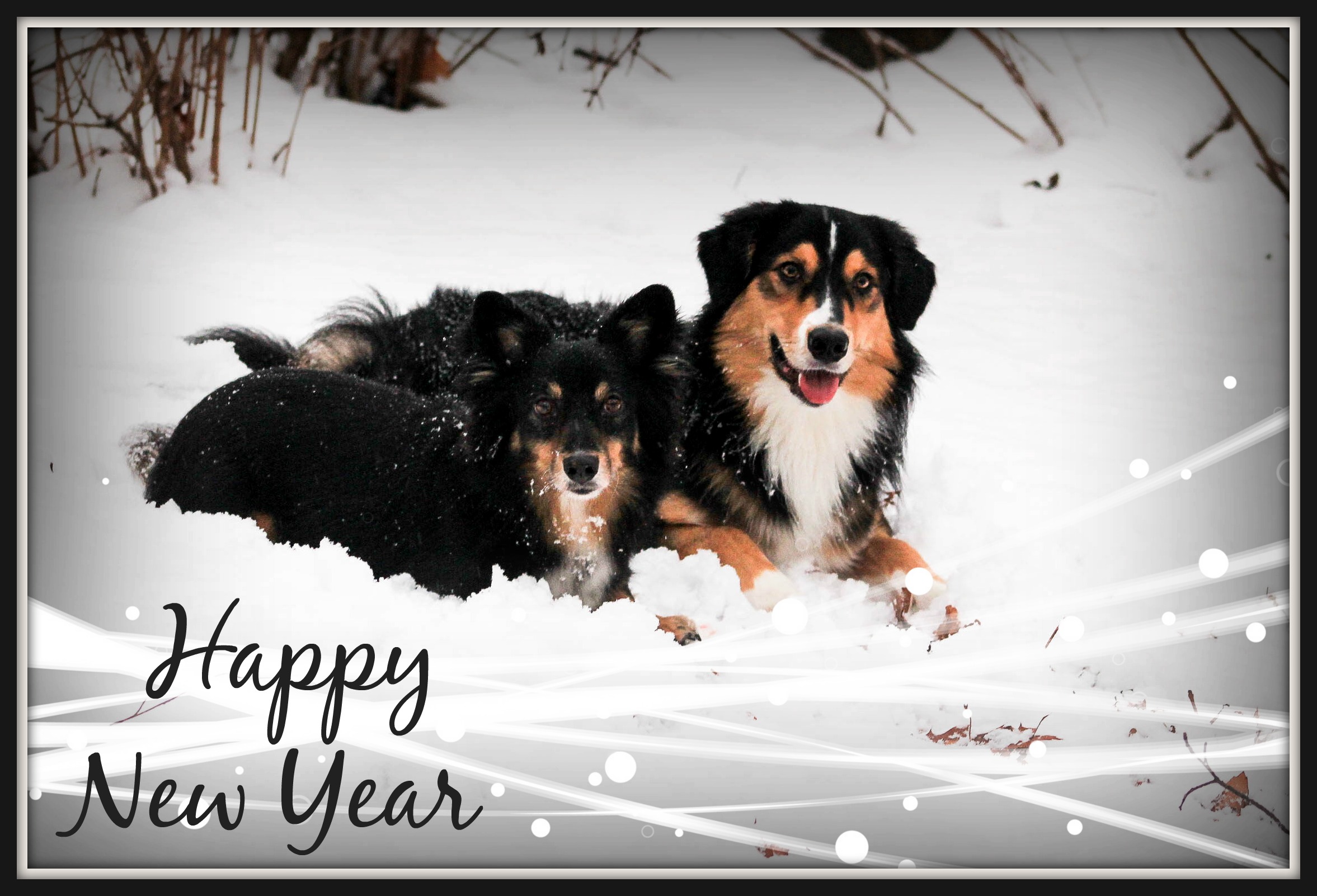 Puzzle IMG 34422 Kopie